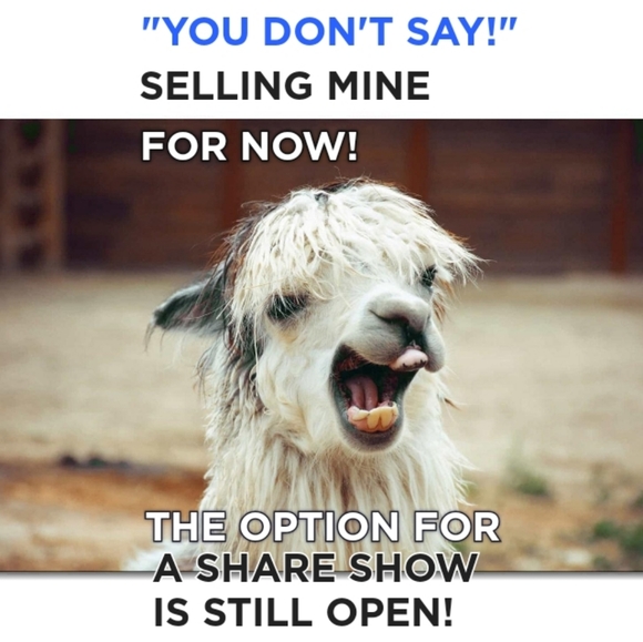 Like This Listing To Be Notified When I Go Live! Read Show Rules - Picture 6 of 15